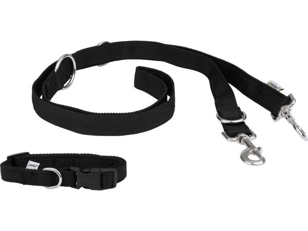 Dog Collar & Lead / Training Dog Lead