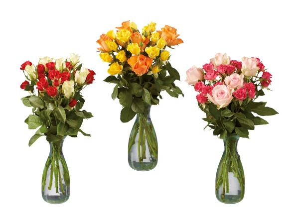 Fairtrade Spray-Rosen