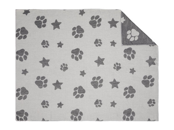 Zoofari Pet Blanket