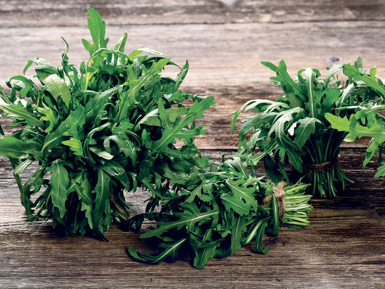 Rucola-Salat
