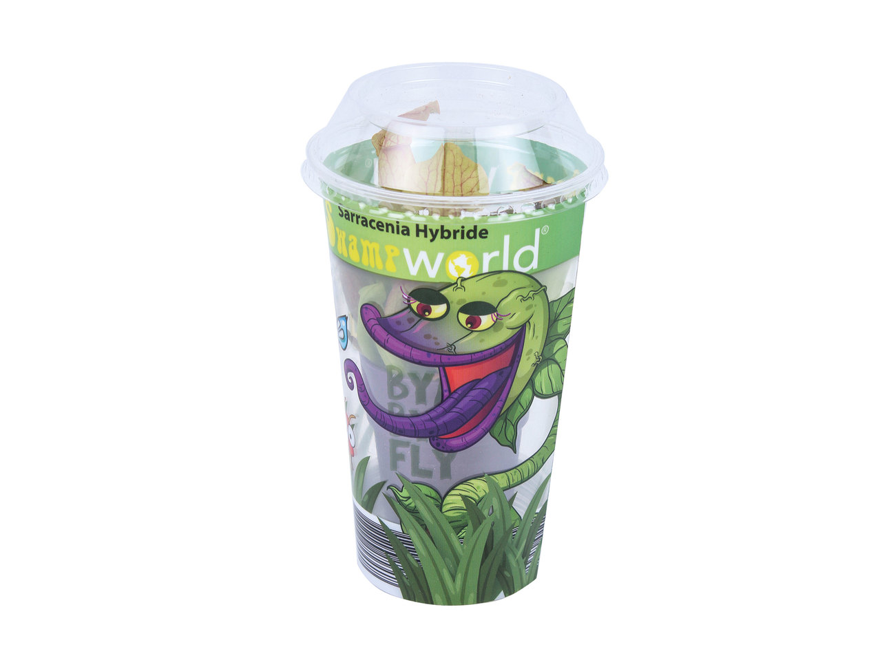 Swampworld Plants1