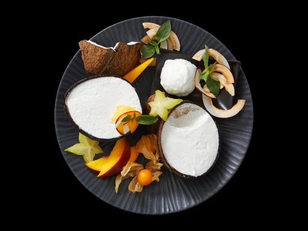 Coconut Ice Cream