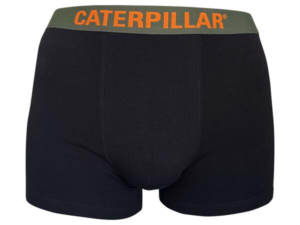 CAT BOXERKY - 2 KUSY