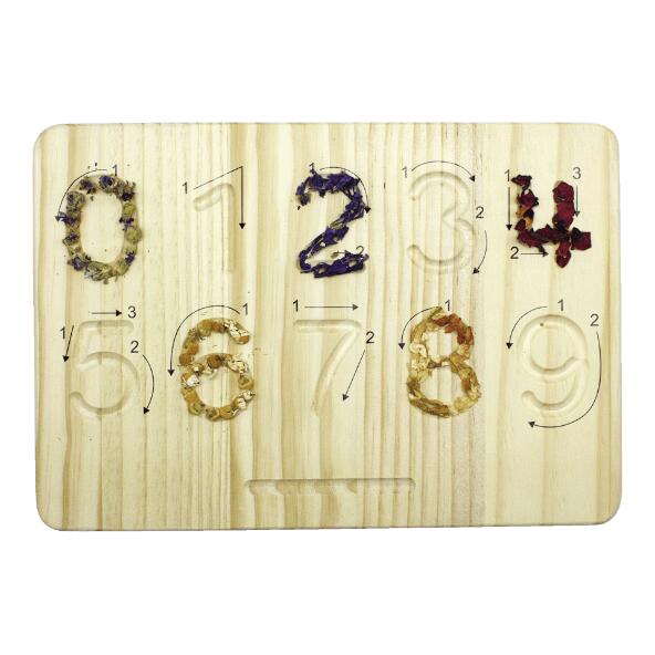 TOYLINO(R) 				Jeu Montessori