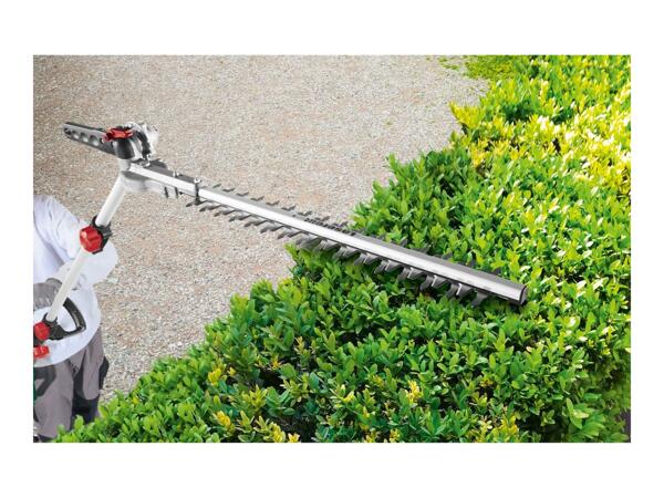 Parkside Long-Reach Hedge Trimmer