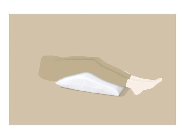 Support Pillow