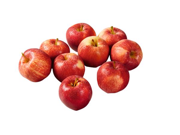 Fuji Apples XXL
