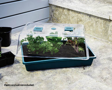 Seed and Cutting Greenhouse