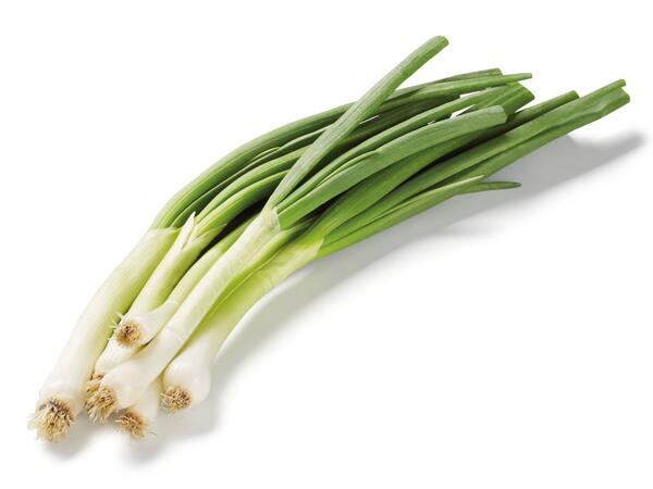 CIBULKA LAHŮDKOVÁ