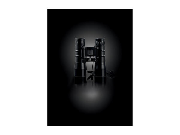 Auriol 12x32 Binoculars
