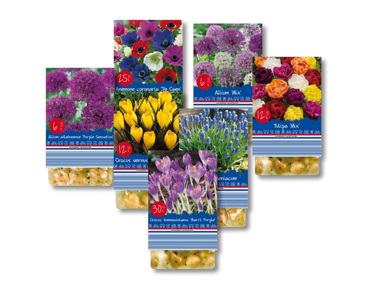 Bulbes de printemps (dès 17.9.)