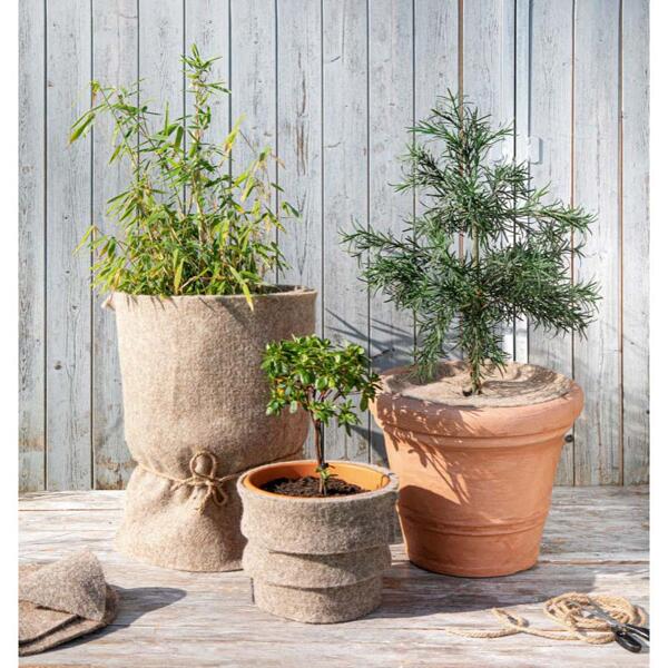 Protection hivernale pour plantes d'extérieur