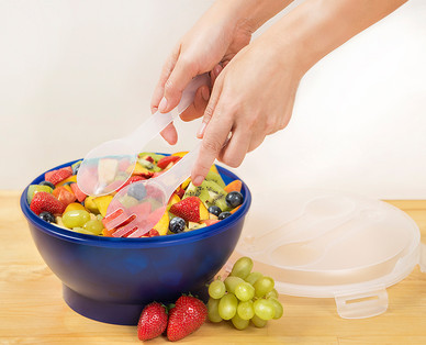 Crofton Salad Bowl With Ice Pack