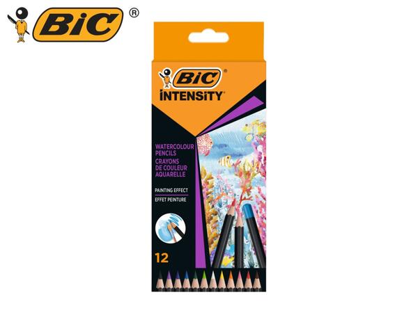 BIC Watercolour Pencils - 12 pack
