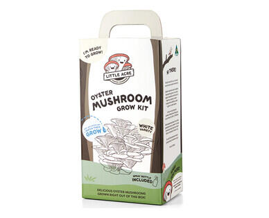 Mushroom Growing Kits