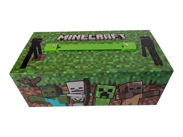 Minecraft Activity Art Case