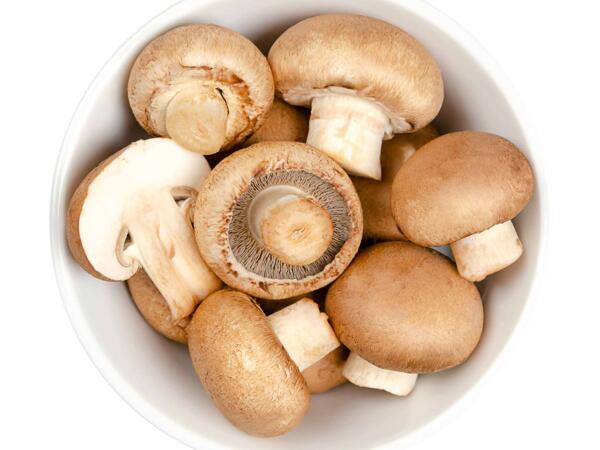 Bio Champignons braun