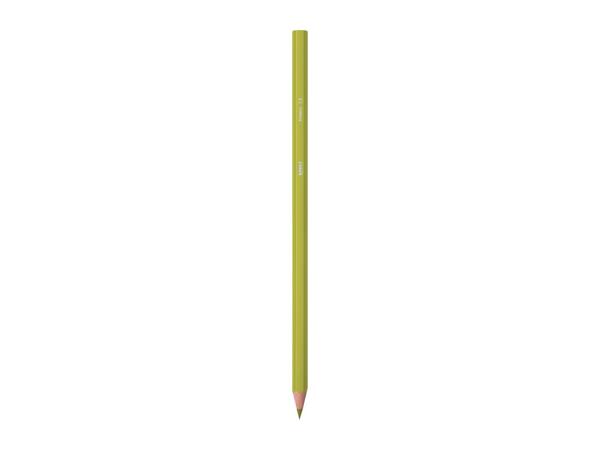 BIC Stationery Assortment