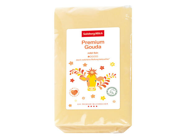 SalzburgMilch Premium Gouda