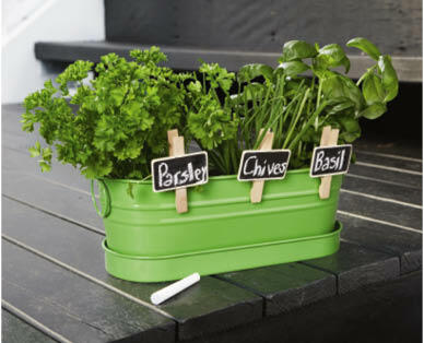 Windowsill Garden Kit