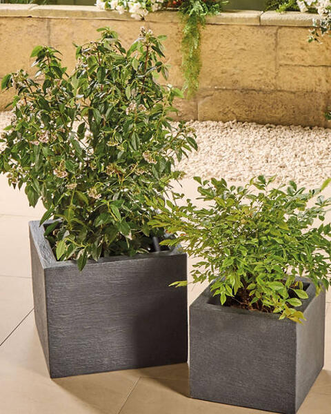 Cube Planter Set