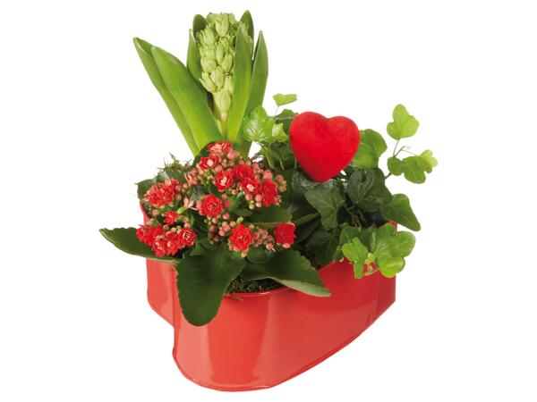 Saint Valentine's Day Composition
