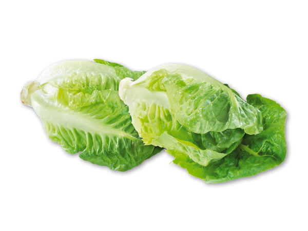Økologisk dansk hjertesalat