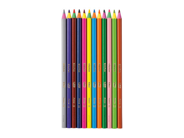 BIC Stationery Assortment