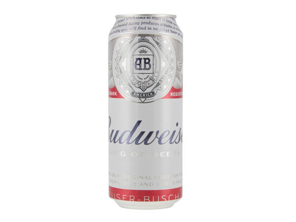 Budweiser Lager