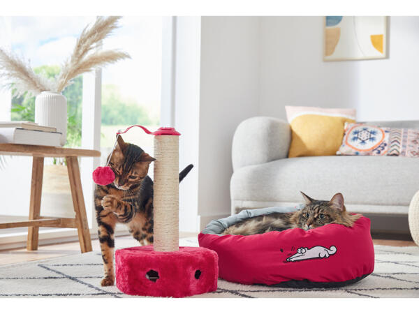 Cat Bed