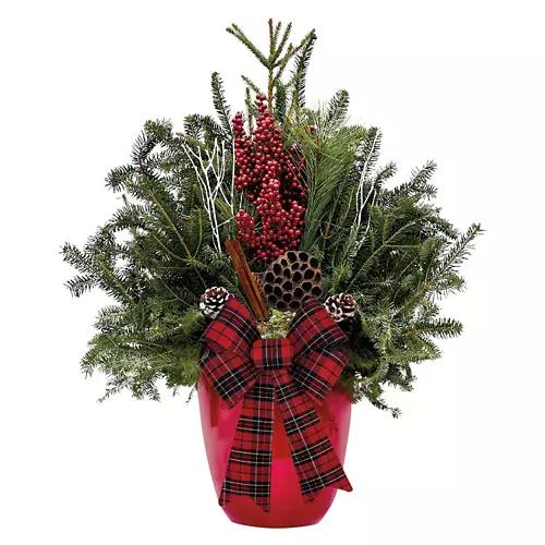 Holiday Assorted Patio Planter