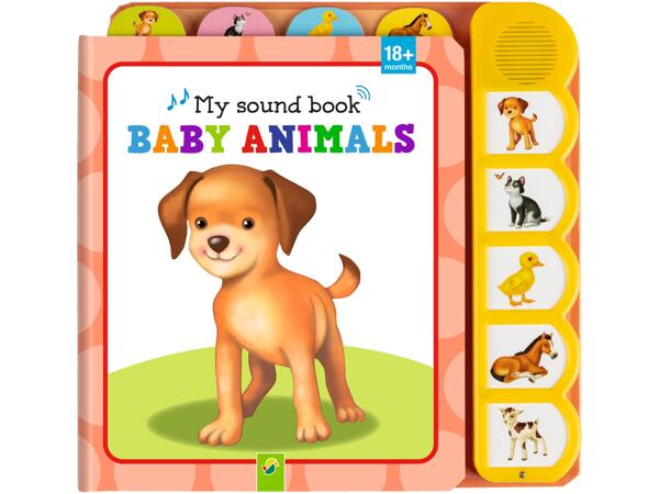 Kids' Sound Book