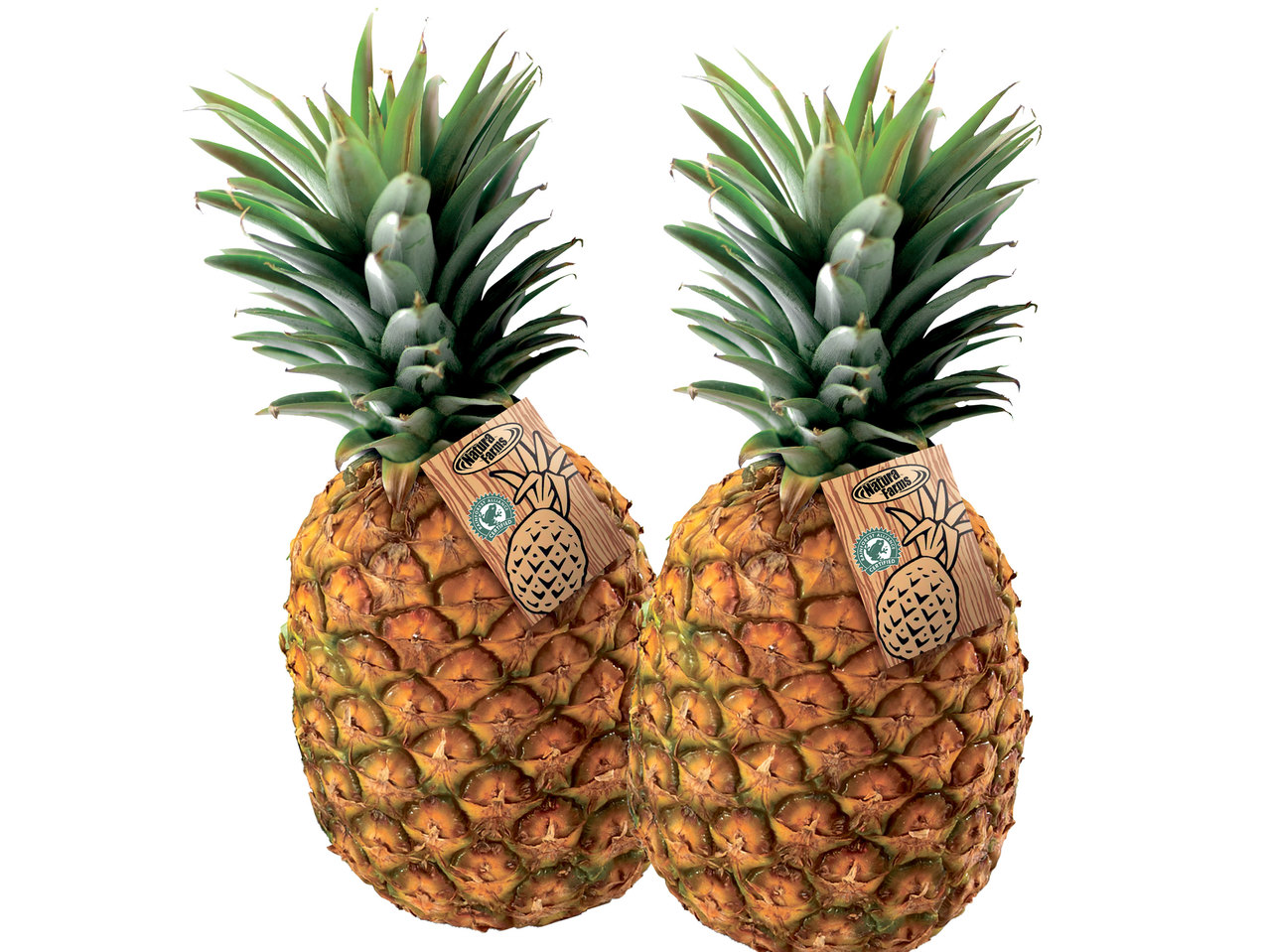 Ananas