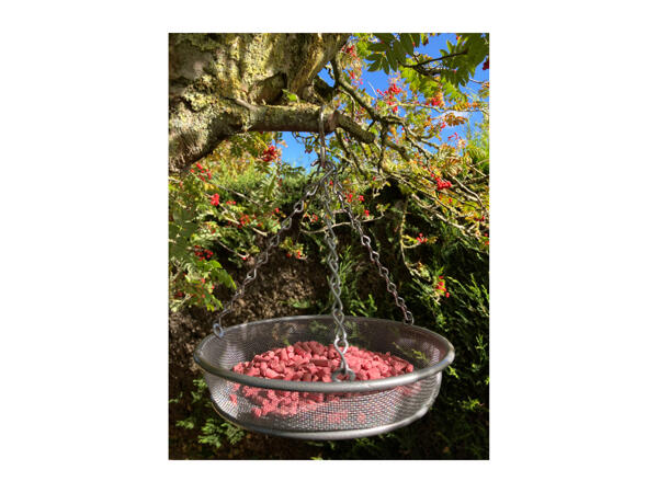 Oakdale Hanging Feeder Tray