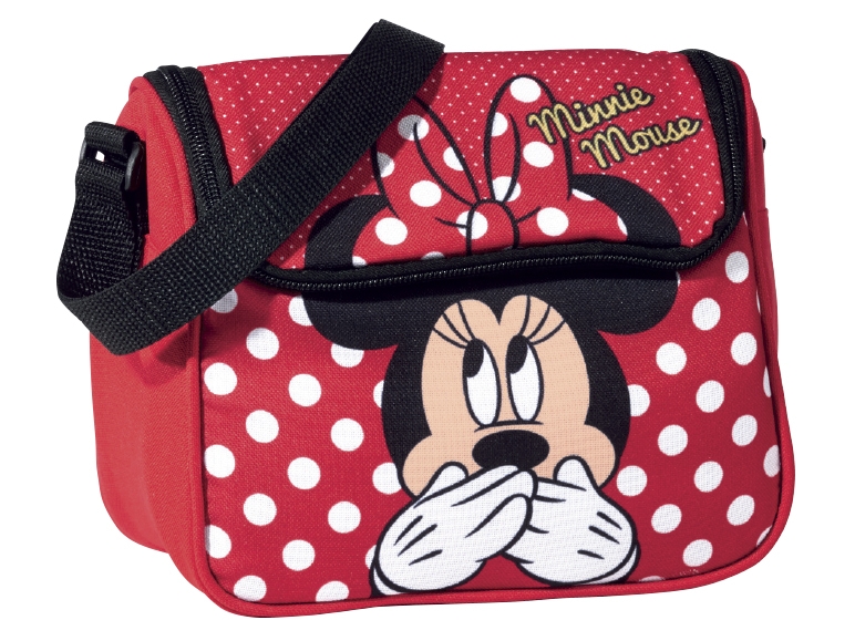 Character Lunch or Toiletry Bag