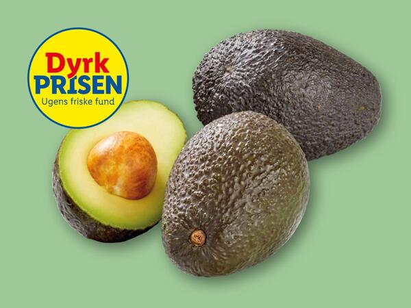 Avocado i net