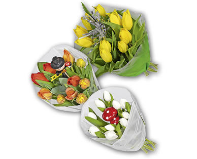 Tulipani di Capodanno