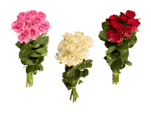 Rose a grappolo