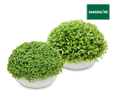 Decorative Faux Plant Assortment