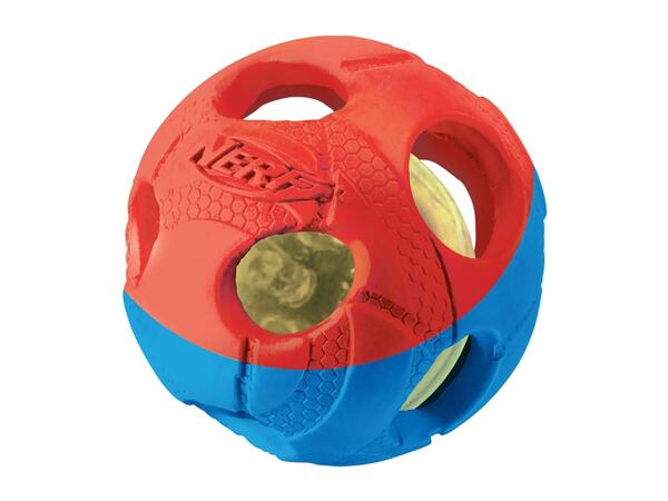 Nerf Dog Toy