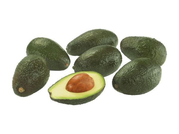 Avocat