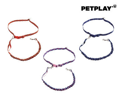 Assorted Dog Leads and Collars