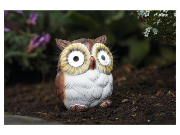 Solar Light Decoration
