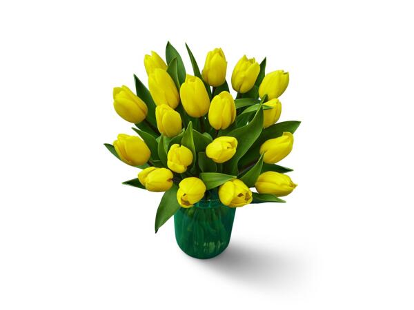 Easter Tulips