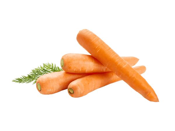 Carottes XXL