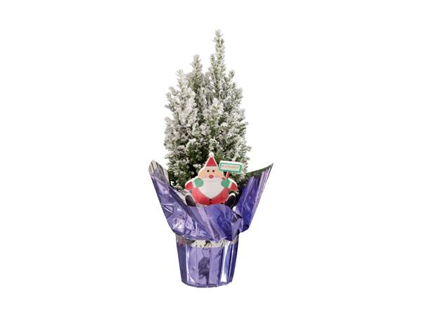 Snowy Christmas Tree