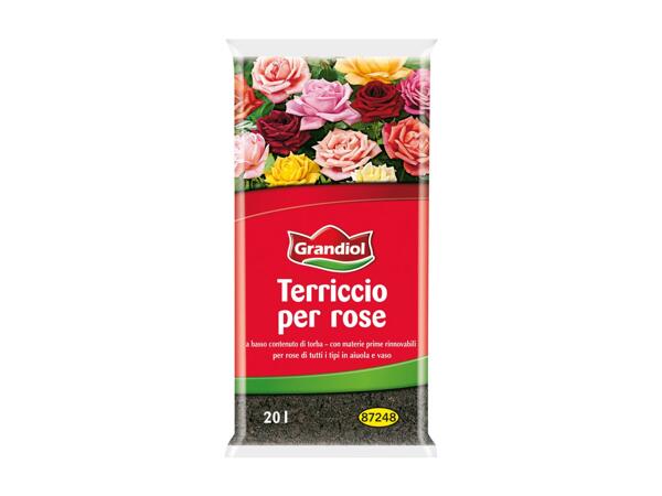 Soil for Rose