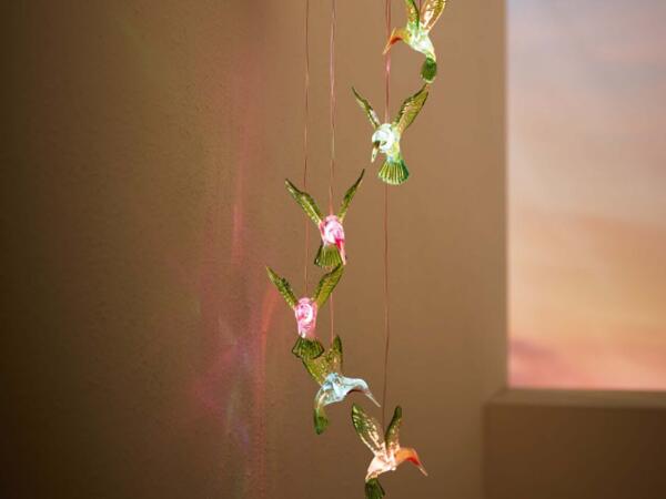 Solar Light Decoration