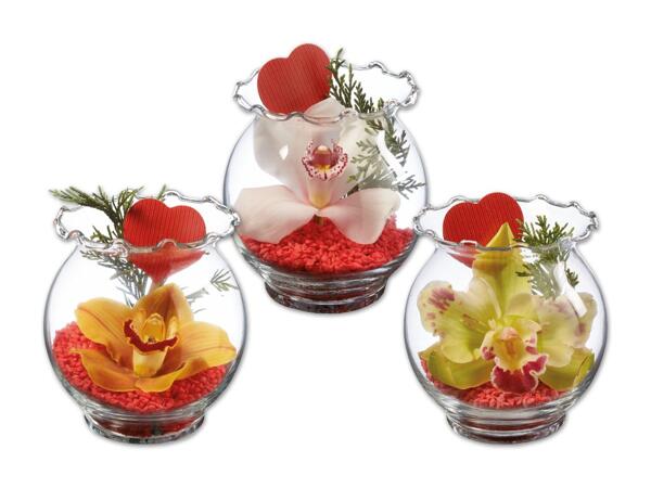 Orchidee im Wellenrandglas