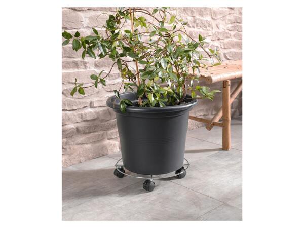 Plant Roller